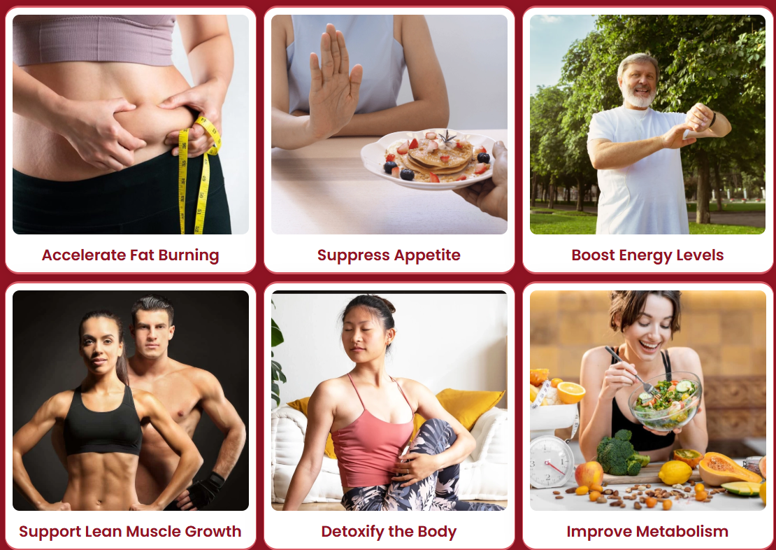 Gelataro benefits overview - fat burning, appetite control, energy and metabolism